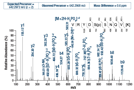 undefined Image 3: PTMScan<sup>®</sup> Control Peptides Phospho-Akt (RXXS*/T*)