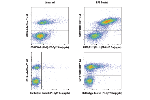 Flow Cytometry Image 1: CD86/B7-2 (GL-1) Rat mAb (PE-Cy7<sup>®</sup> Conjugate)