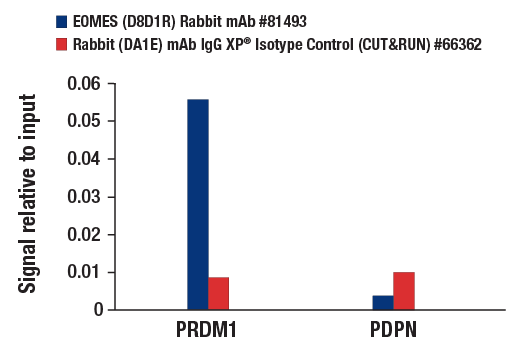 undefined Image 65: Human Exhausted T Cell Antibody Sampler Kit