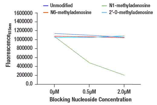 undefined Image 2: N1-Methyladenosine (m1A) (E8S7H) Rabbit mAb