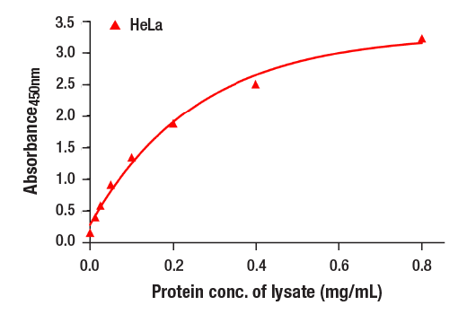 ELISA Image 2: PathScan<sup>®</sup> RP Total c-Raf Sandwich ELISA Kit