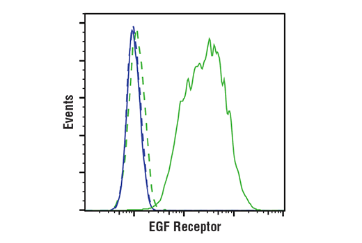 undefined Image 72: Lung Cancer RTK Antibody Sampler Kit