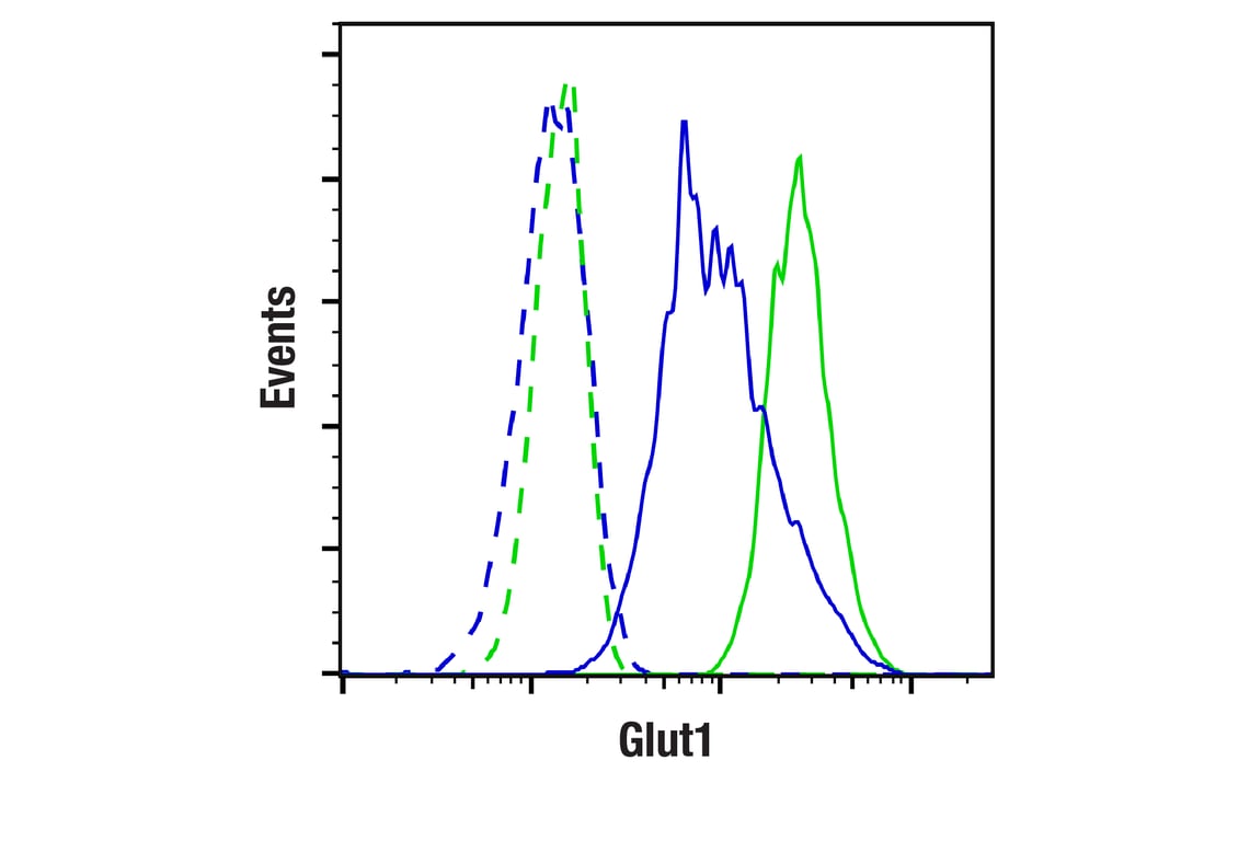 Flow Cytometry Image 1: Glut1 (E4S6I) Rabbit mAb