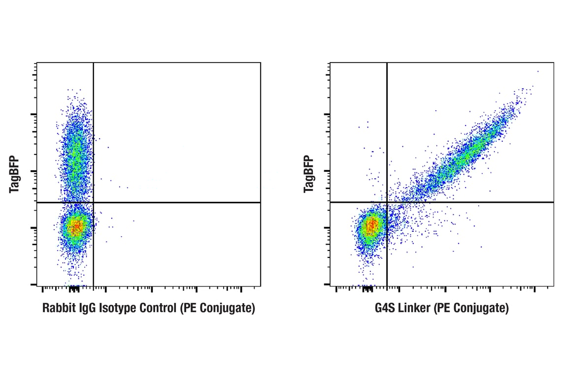Flow Cytometry Image 3: G4S Linker (E7O2V) Rabbit mAb (PE Conjugate)