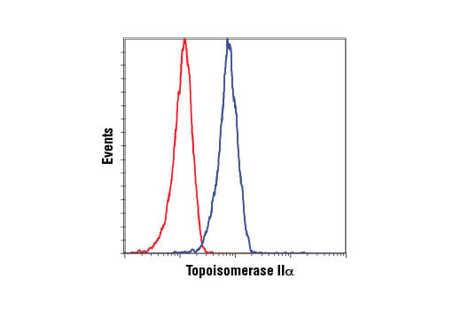 Flow Cytometry Image 1: Topoisomerase IIα (D10G9) XP<sup>®</sup> Rabbit mAb (BSA and Azide Free)