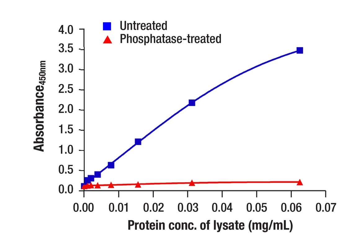 ELISA Image 1: Phospho-Tau (Thr181) Matched Antibody Pair