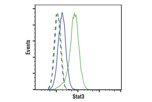 undefined Image 18: Stat3/Stat5 Signaling Antibody Sampler Kit