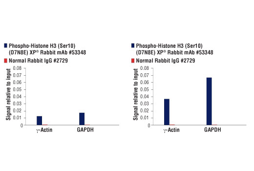 Chromatin Immunoprecipitation Image 1: Phospho-Histone H3 (Ser10) (D7N8E) XP<sup>®</sup> Rabbit mAb