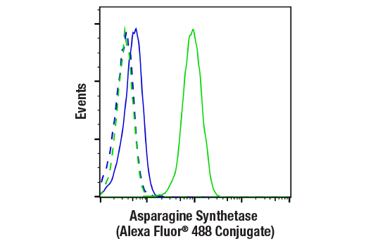 Flow Cytometry Image 1: Asparagine Synthetase (E6C2C) XP<sup>®</sup> Rabbit mAb (Alexa Fluor<sup>®</sup> 488 Conjugate)