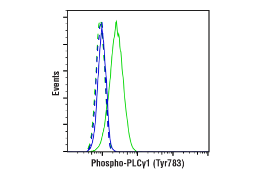 undefined Image 31: ALK Activation Antibody Sampler Kit
