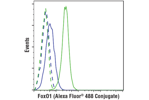 Flow Cytometry Image 1: FoxO1 (C29H4) Rabbit mAb (Alexa Fluor<sup>®</sup> 488 Conjugate)