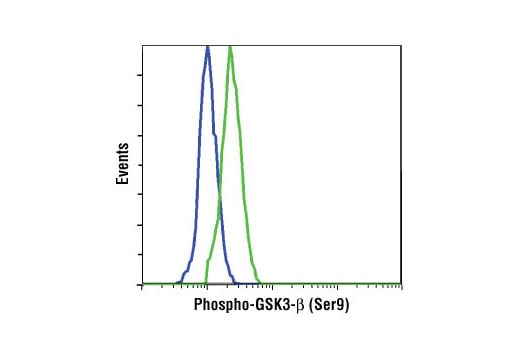 Flow Cytometry Image 1: Phospho-GSK-3β (Ser9) (D85E12) XP<sup>®</sup> Rabbit mAb