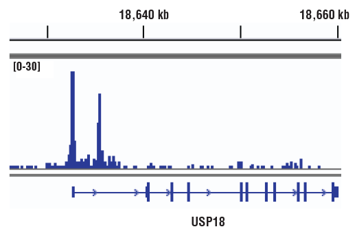 undefined Image 44: Microglia Cross Module Antibody Sampler Kit