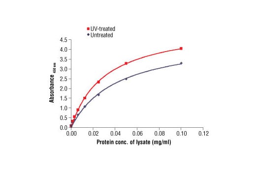 undefined Image 1: PathScan<sup>®</sup> Total p53 Sandwich ELISA Antibody Pair