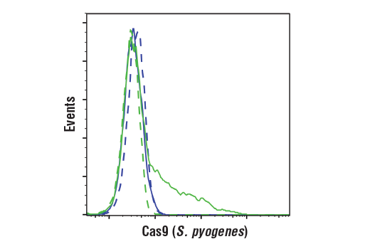 undefined Image 9: Cas9 and Associated Proteins Antibody Sampler Kit