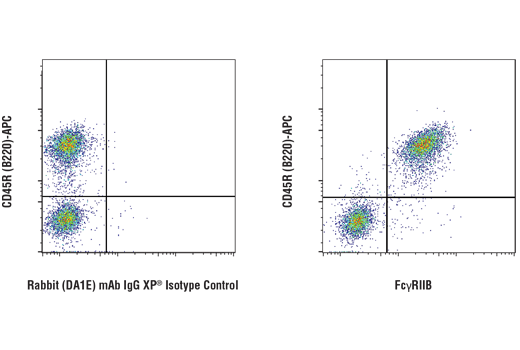 Flow Cytometry Image 1: FcγRIIB (D8F9C) XP<sup>®</sup> Rabbit mAb