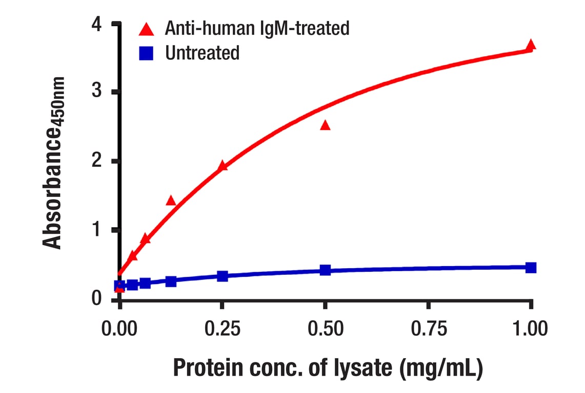 ELISA Image 1: Phospho-Syk (panTyr) Matched Antibody Pair