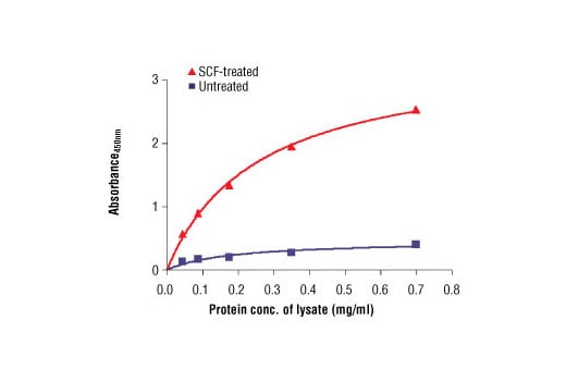 ELISA Image 1: PathScan<sup>®</sup> Phospho-c-Kit (panTyr) Sandwich ELISA Antibody Pair