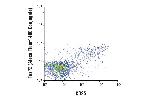 Flow Cytometry Image 2: FoxP3 (D6O8R) Rabbit mAb (Alexa Fluor<sup>®</sup> 488 Conjugate)