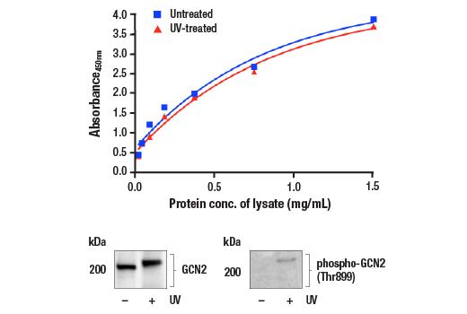 ELISA Image 1: FastScan<sup>™</sup> Total GCN2 ELISA Kit