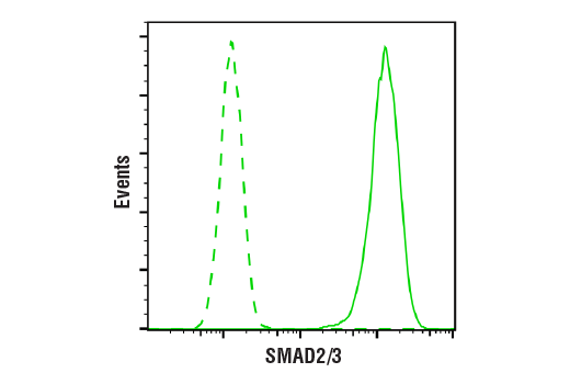 Flow Cytometry Image 1: SMAD2/3 (D7G7) XP<sup>®</sup> Rabbit mAb (BSA and Azide Free)