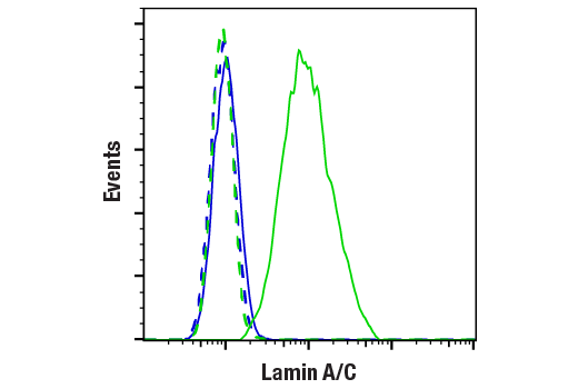 undefined Image 6: Microglia Cross Module Antibody Sampler Kit