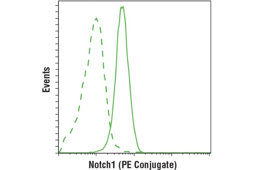 Flow Cytometry Image 1: Notch1 (D6F11) XP<sup>®</sup> Rabbit mAb (PE Conjugate)