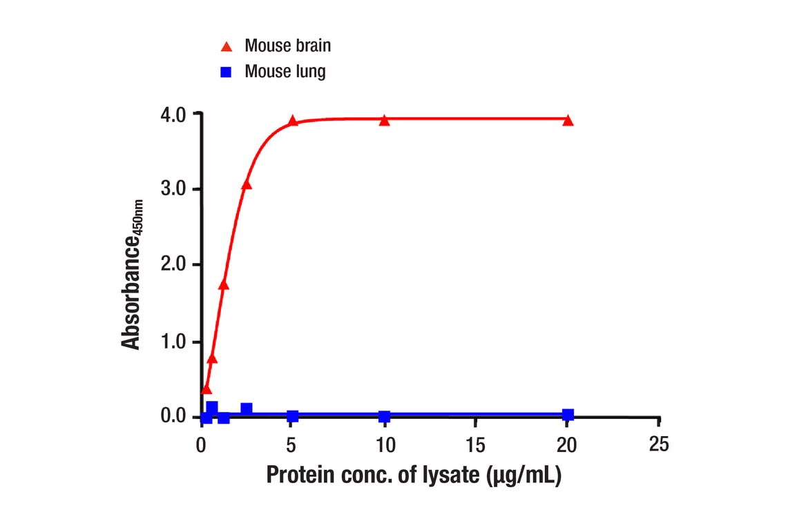 ELISA Image 1: Neurogranin (E9V5C) Rabbit mAb (BSA and Azide Free)