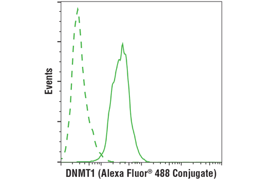 Flow Cytometry Image 1: DNMT1 (D63A6) XP<sup>®</sup> Rabbit mAb (BSA and Azide Free)