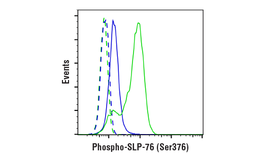 undefined Image 1: Human CD28 Activating (CD28.2) Mouse mAb (Low Endotoxin, Azide-free)