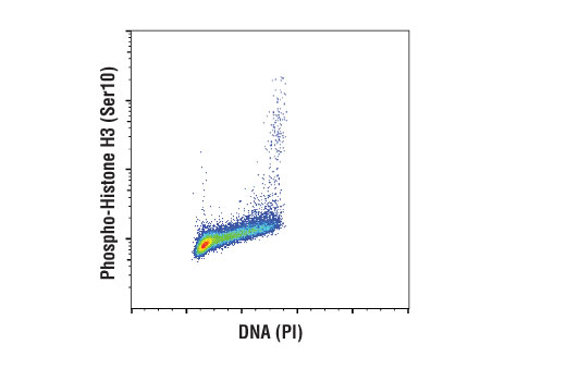 Flow Cytometry Image 1: Phospho-Histone H3 (Ser10) (D7N8E) XP<sup>®</sup> Rabbit mAb (BSA and Azide Free)