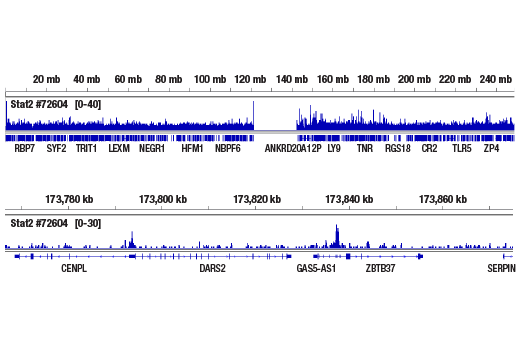 undefined Image 22: Microglia Cross Module Antibody Sampler Kit