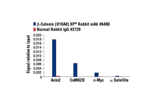 undefined Image 54: Cadherin-Catenin Antibody Sampler Kit