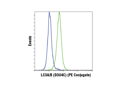 Flow Cytometry Image 1: LC3A/B (D3U4C) XP<sup>®</sup> Rabbit mAb (PE Conjugate)