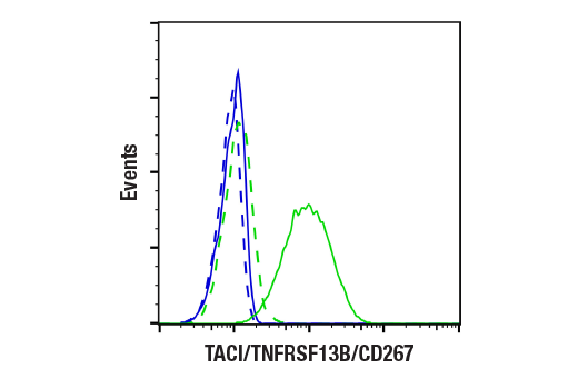 Flow Cytometry Image 2: TACI/TNFRSF13B/CD267 (E3P6X) Rabbit mAb