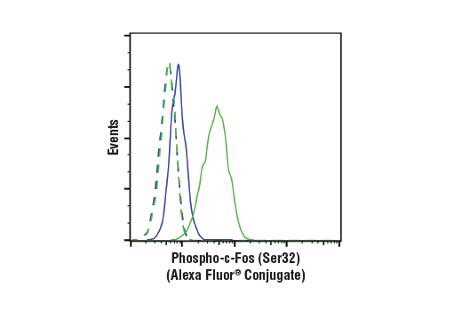 Flow Cytometry Image 1: Phospho-c-Fos (Ser32) (D82C12) XP<sup>®</sup> Rabbit mAb (Alexa Fluor<sup>®</sup> 488 Conjugate)