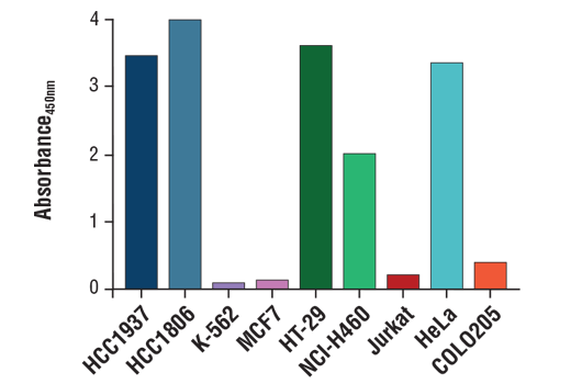 ELISA Image 2: FastScan<sup>™</sup> Total EGF Receptor ELISA Kit