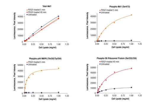 undefined Image 3: PathScan<sup>®</sup> Cell Growth 4-Plex Array Kit