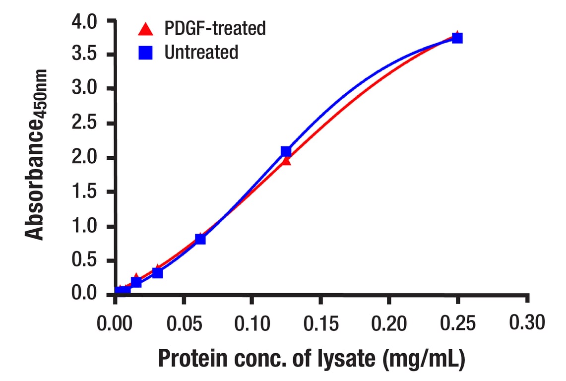 ELISA Image 1: CREB (48H2) Rabbit mAb (BSA and Azide Free)