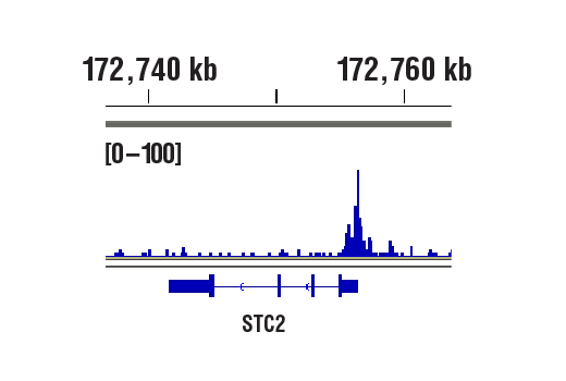 undefined Image 55: Microglia Neurodegeneration Module Antibody Sampler Kit