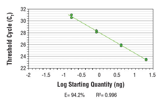 Chromatin Immunoprecipitation Image 2: SimpleChIP<sup>®</sup> Human β-Actin 3' UTR Primers