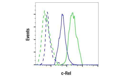 Flow Cytometry Image 1: c-Rel (E8Z5Y) XP<sup>®</sup> Rabbit mAb (BSA and Azide Free)