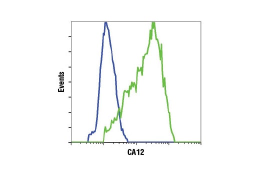 Flow Cytometry Image 1: CA12 (D75C6) XP<sup>®</sup> Rabbit mAb