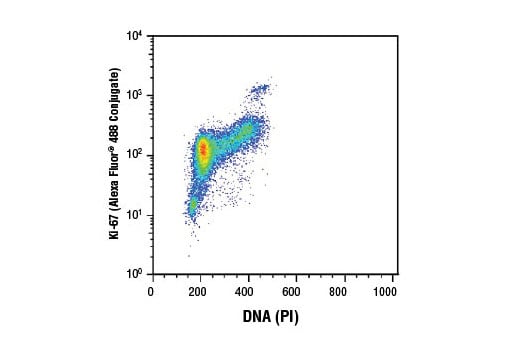 Flow Cytometry Image 1: Ki-67 (D3B5) Rabbit mAb (Alexa Fluor<sup>®</sup> 488 Conjugate)