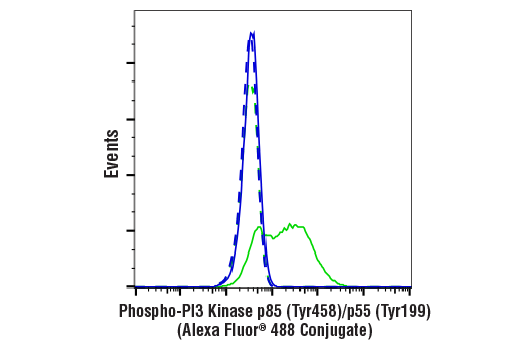 Flow Cytometry Image 1: Phospho-PI3 Kinase p85 (Tyr458)/p55 (Tyr199) (E3U1H) Rabbit mAb (Alexa Fluor<sup>®</sup> 488 Conjugate)