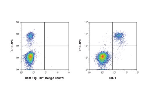 Flow Cytometry Image 1: CD74 (D5N3I) XP<sup>®</sup> Rabbit mAb (BSA and Azide Free)