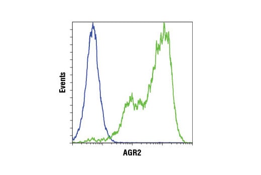 Flow Cytometry Image 1: AGR2 (D9V2F) XP<sup>®</sup> Rabbit mAb (BSA and Azide Free)