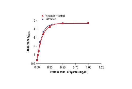 ELISA Image 2: PathScan<sup>®</sup> Total CREB Sandwich ELISA Kit