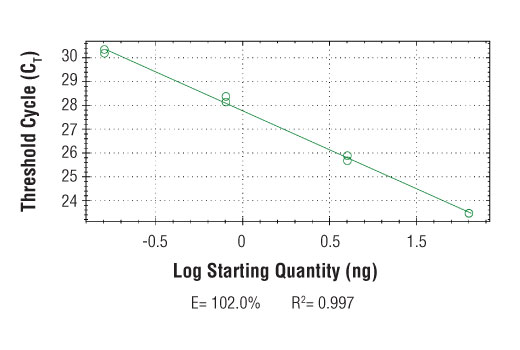 Chromatin Immunoprecipitation Image 2: SimpleChIP<sup>®</sup> Human C/EBPδ Promoter Primers