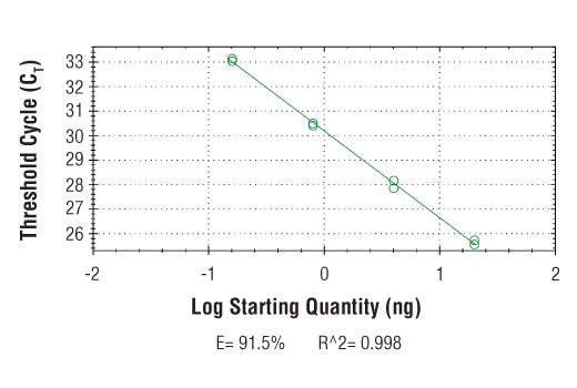 Chromatin Immunoprecipitation Image 2: SimpleChIP<sup>®</sup> Human MDM2 Intron 2 Primers